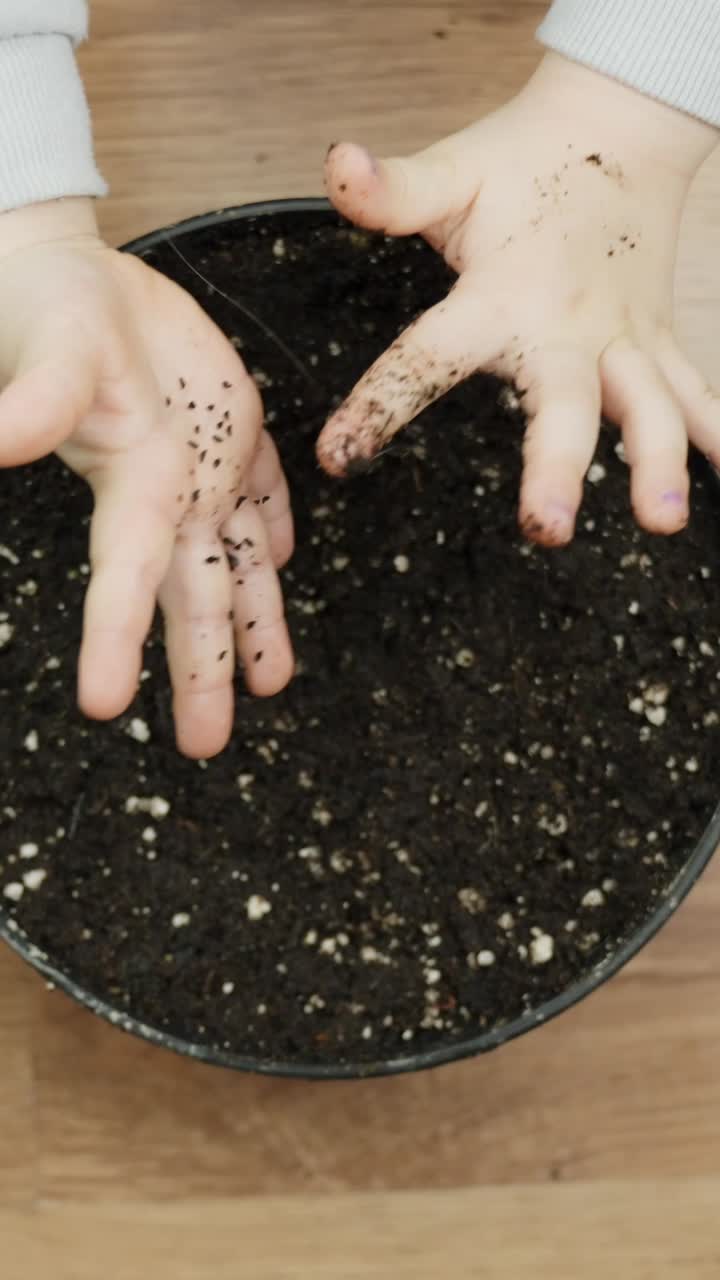 Small child's hand pressing seeds into dark, fertile soil within a round black pot