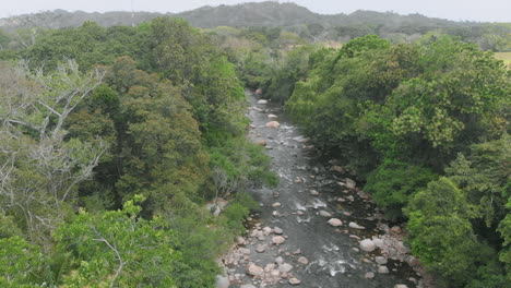 Schöner-Fluss-Inmitten-Von-Bäumen