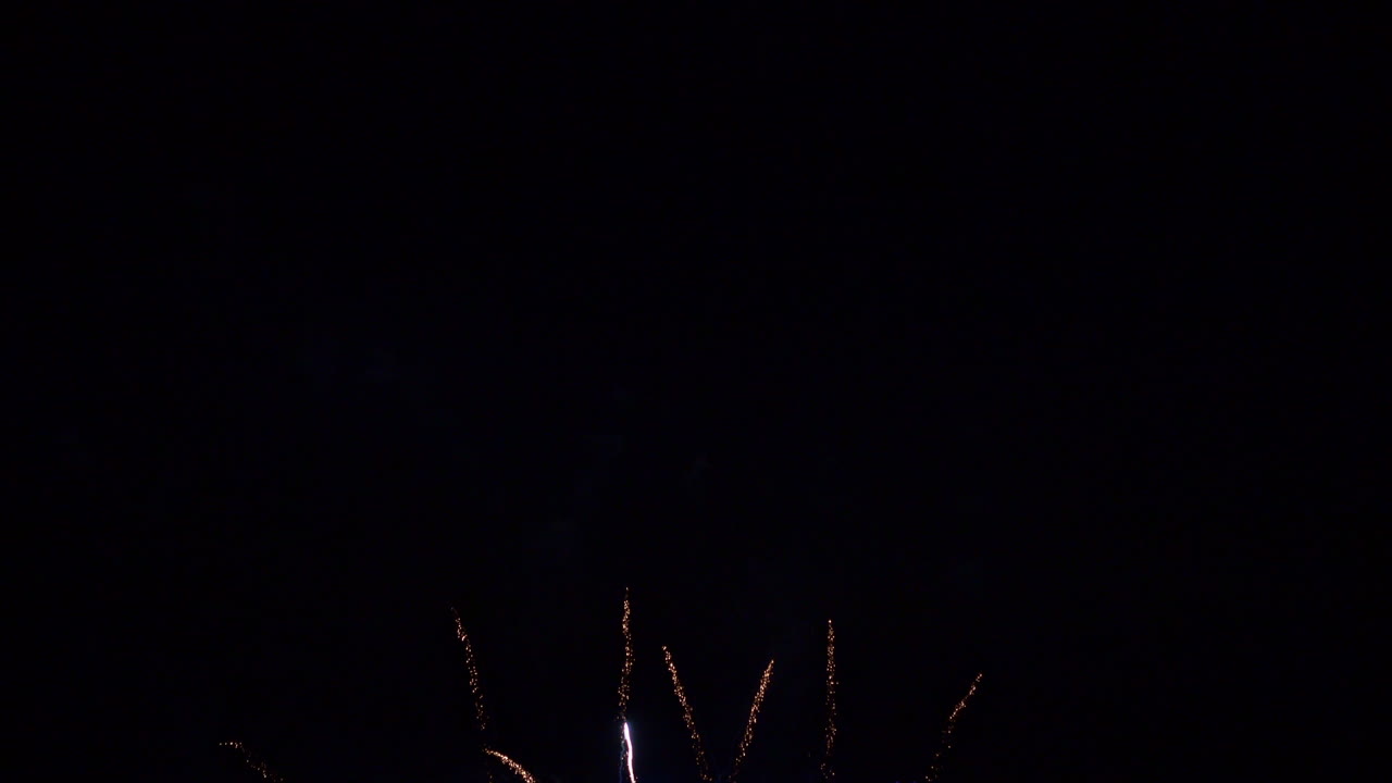 Una varietà di fuochi d'artificio colorati esplode nel cielo notturno.