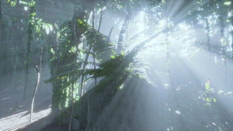 photo inside a rainforest covered in bright green moss