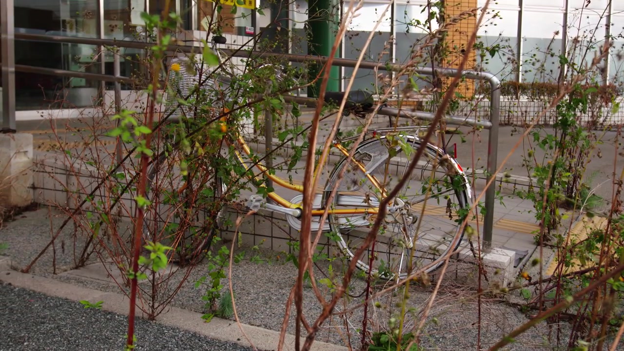 Abandoned yellow bicycle overgrown with weeds near a building in Japan.