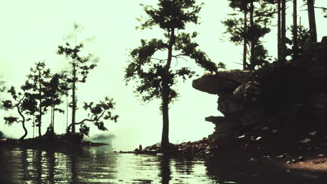 paisaje de bosque y lago de niebla