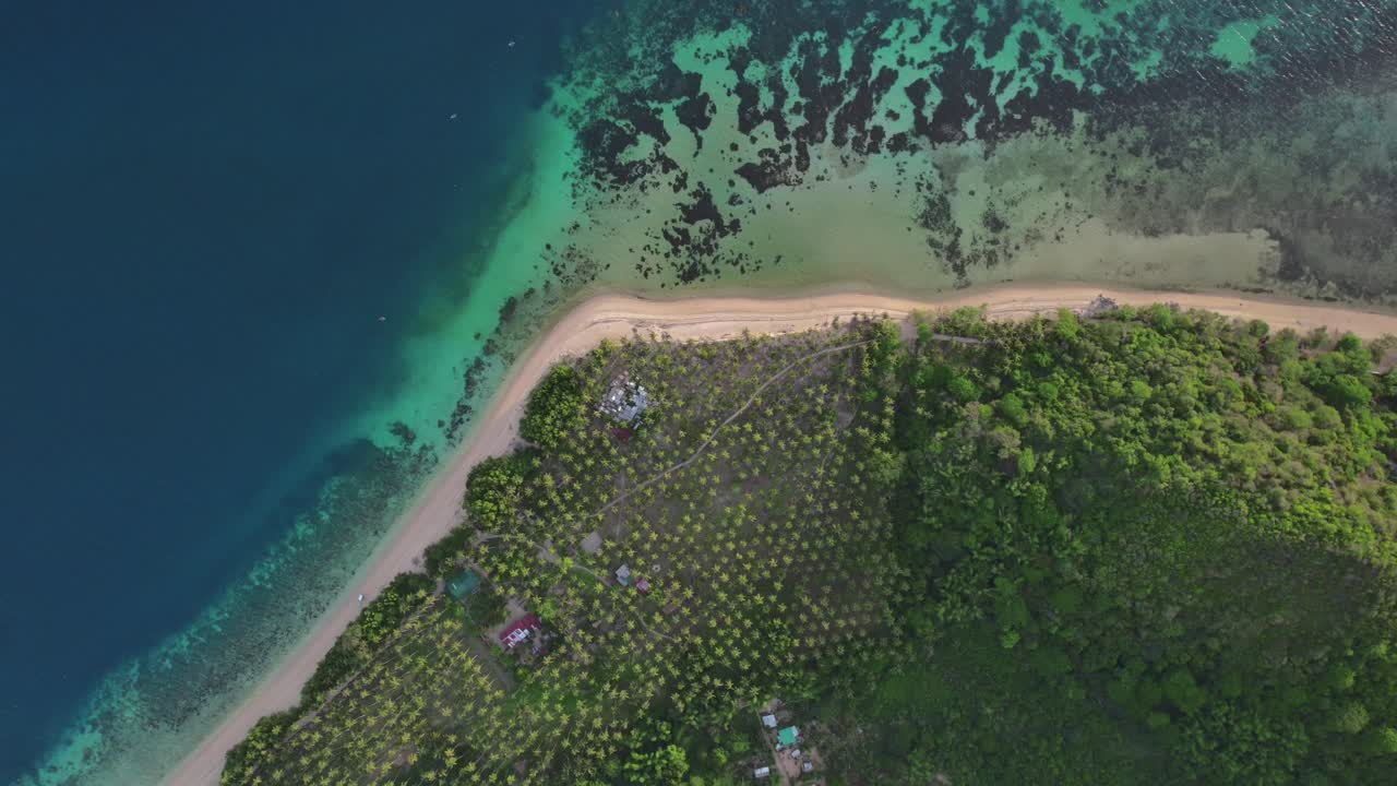 Exotic island shore aerial drone top down view Philippines ocean nature
