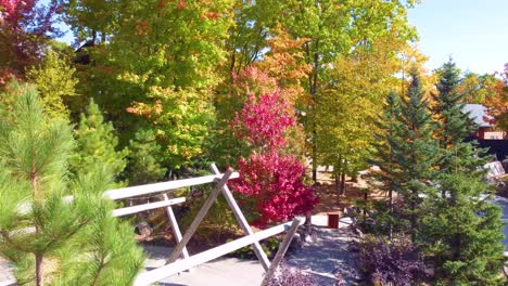 beside a tapestry of bright fall colours in quebec countryside