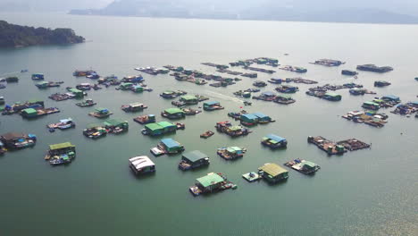 shuen wan typhoon shelter, tai po, hong kong