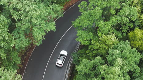 birdseye aerial view of white car moving on countryside road under green trees, tracking drone shot