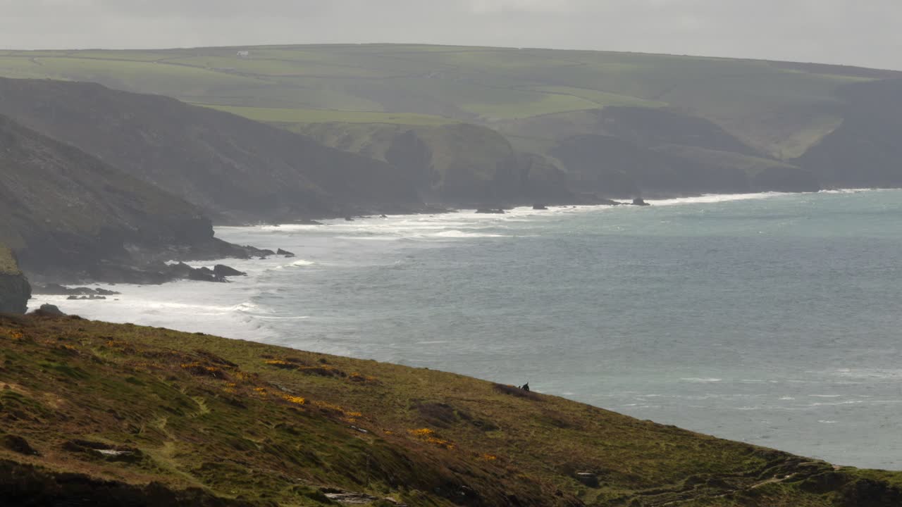 Ön planda kıyı çayırı ile dalgaların sahile vurduğu Cornwall sahil şeridinin çok geniş açılı çekimleri.