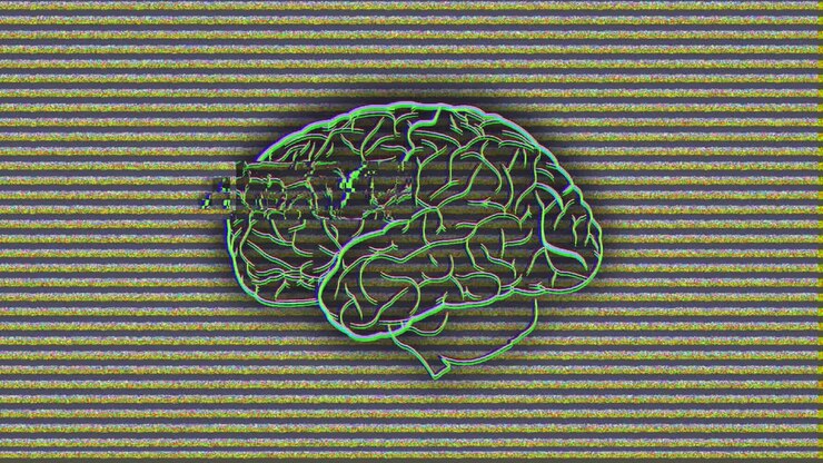 Brain on grey background