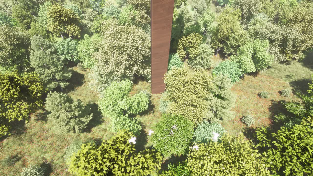 나무, 덤불, 풀, 꽃, 그 위로 날아다니는 갈매기, 카메라 돌리가 아래를 내려다보는 3d 애니메이션