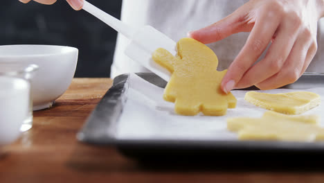 woman placing gingerbread cookies in baking tray 4k