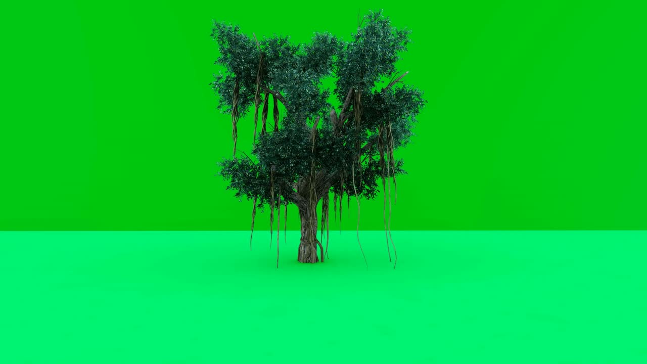 Árvore única animada em tela verde, 4K