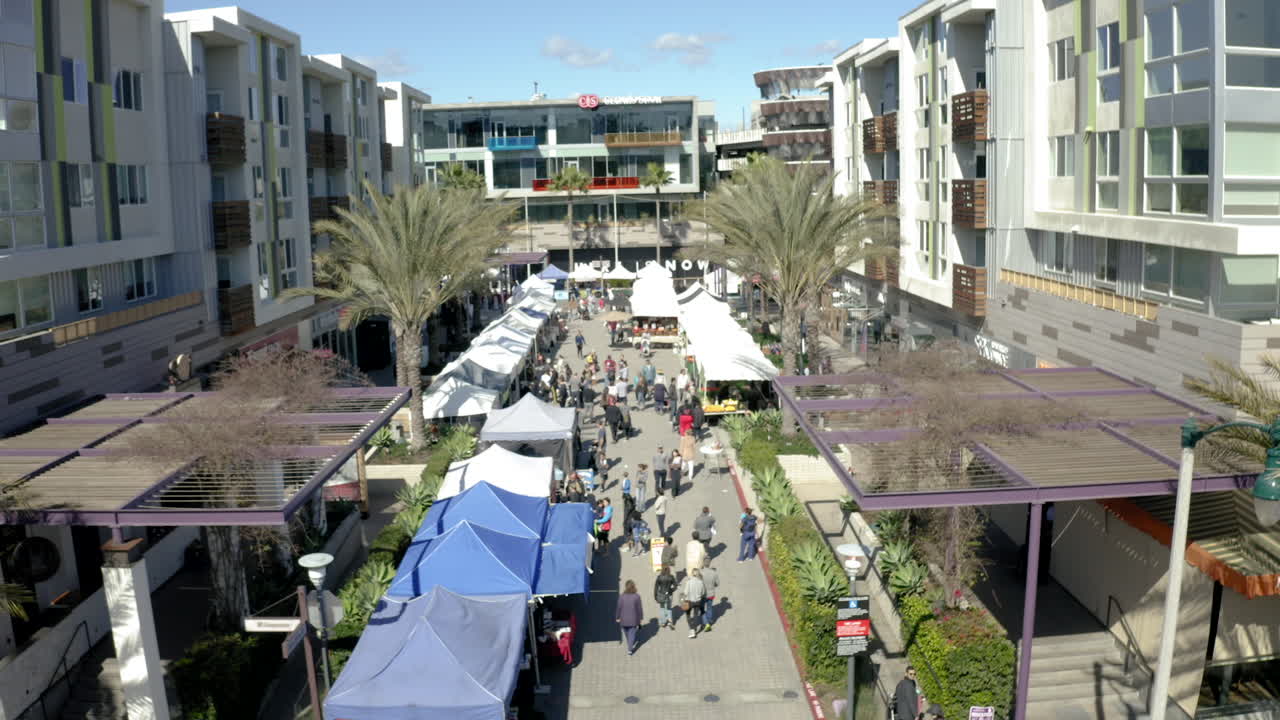 Busy outdoor market with people browsing vendor stalls under palm trees
