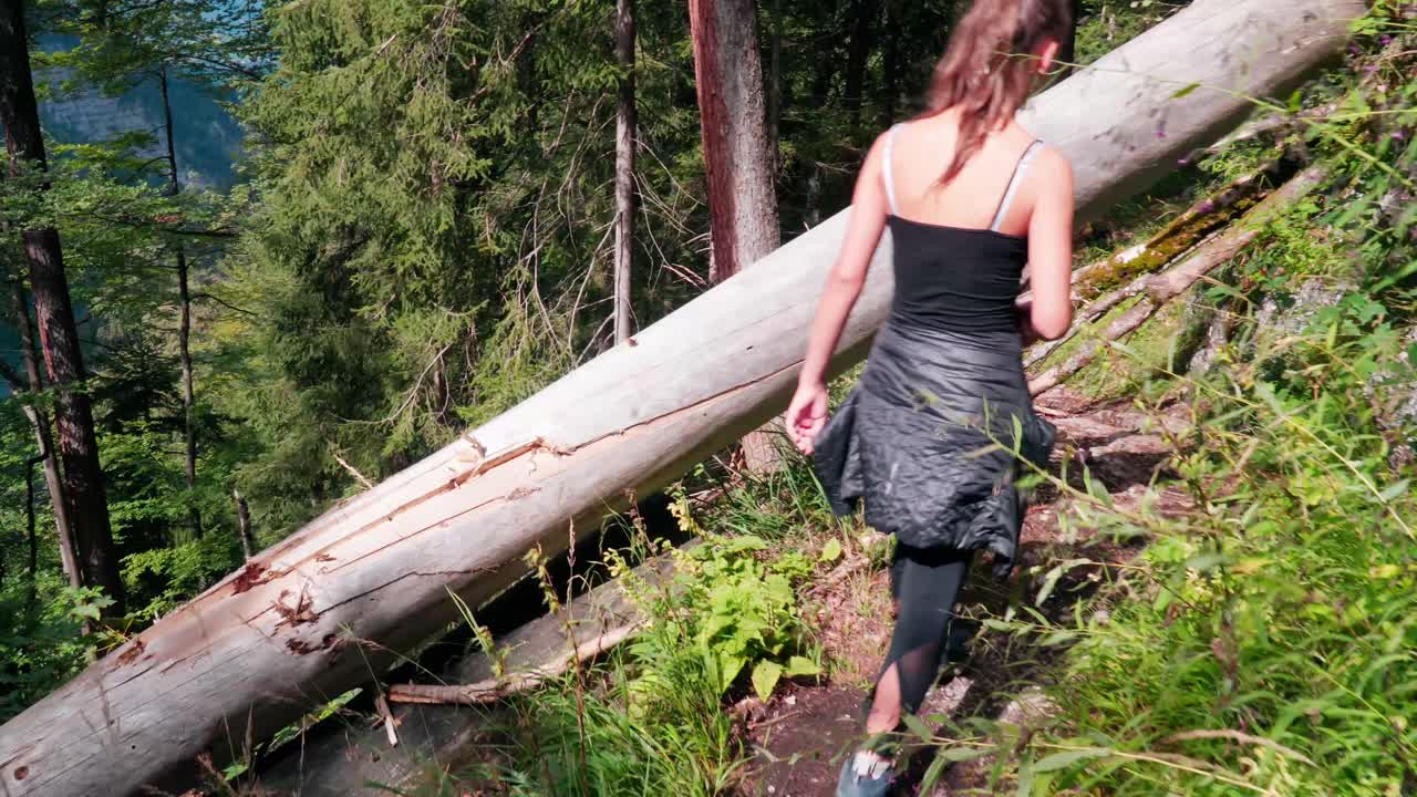 나무는 königssee 근처의 산을 따라 하이킹 트랙 위에 놓여 있습니다.