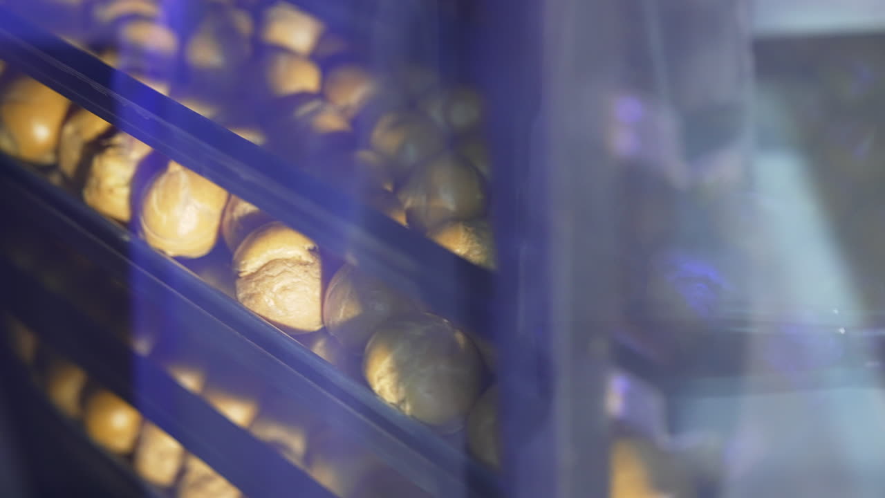 Baking Profiteroles or Eclairs in an Oven