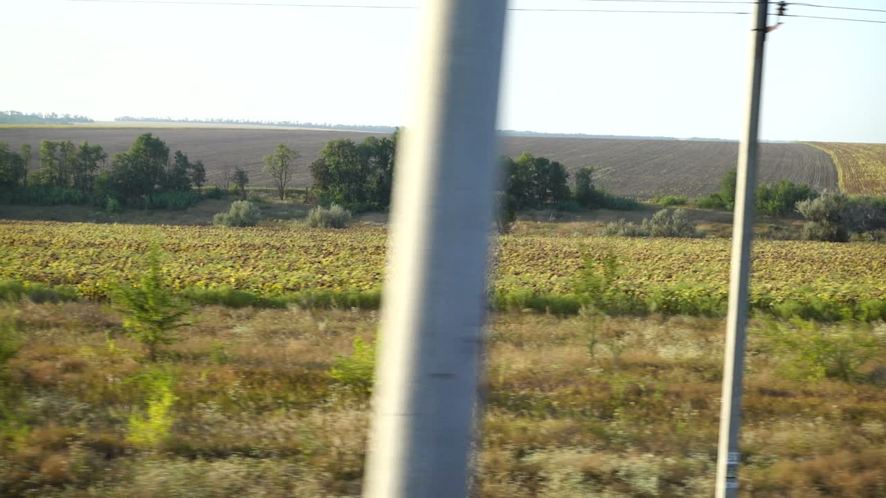 Agricultural fields. Shooting in the movement