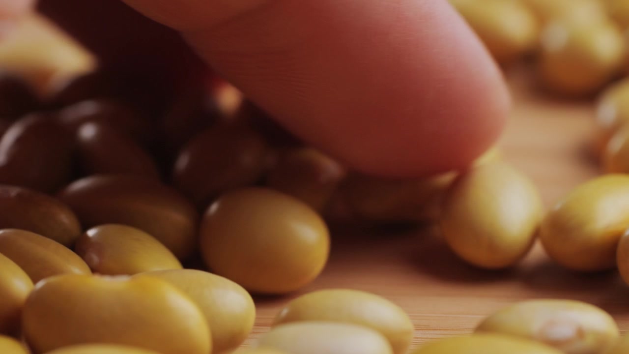 Primo piano di una mano che seleziona fagioli gialli secchi