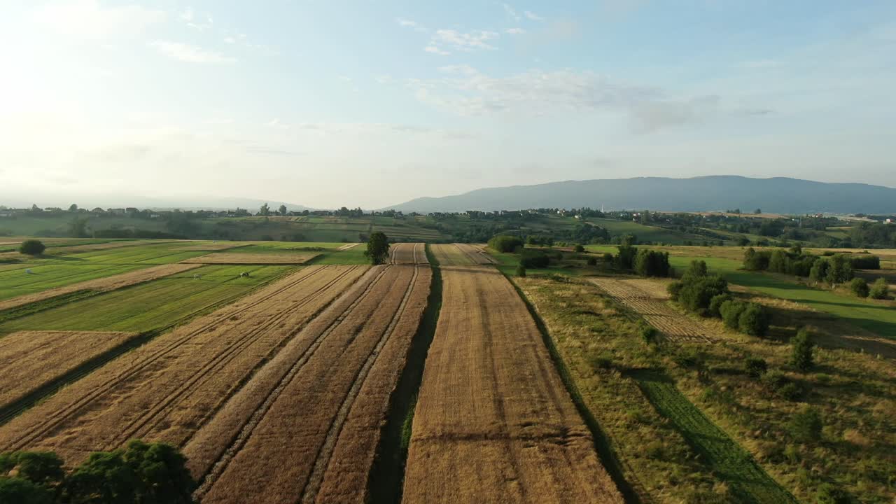 Aerial view of fields on sunset with mountains in the background and small clouds with blue sky