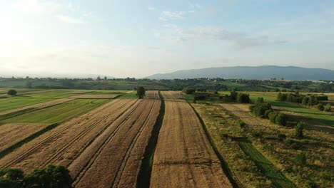 Aerial-view-of-fields-on-sunset-with-mountains-in-the-background-and-small-clouds-with-blue-sky