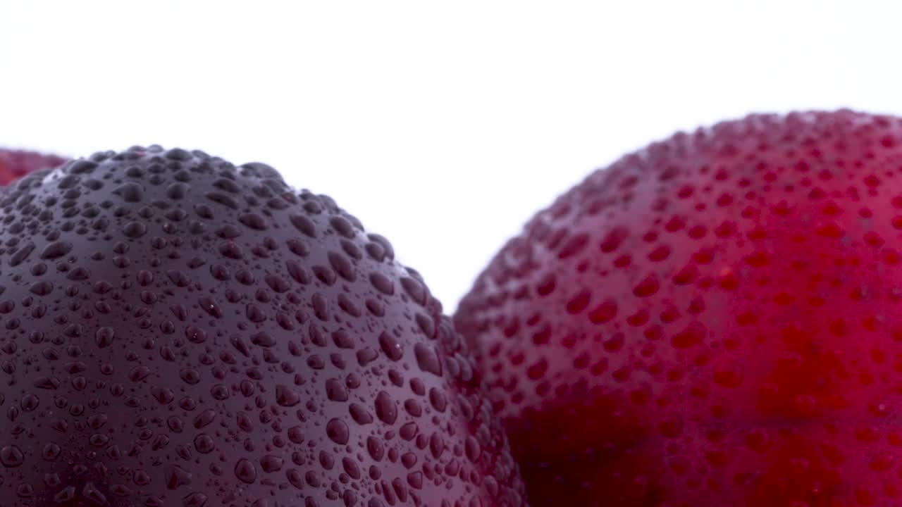 세 개의 큰 보라색 메이너드 플럼의 상단 부분을 물방울로 매크로 촬영합니다. 색 배경에 고립 된 회전 테이블에서 천천히 회전합니다.