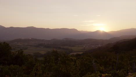 sunset over the alps from a vineyard