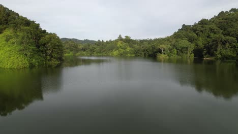 Cinematic-Aerial-view-over-green-lagoon-and-reflection-of-forest-jungle-trees