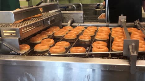 a quality control baker removing the imperfect doughnuts from a deep fat fryer