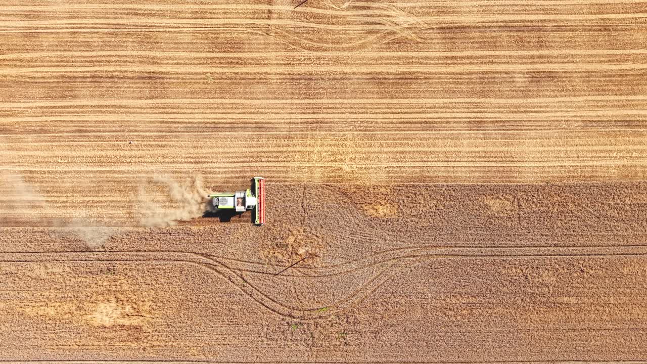 Combine harvester working agricultural grain field AERIAL Top Down