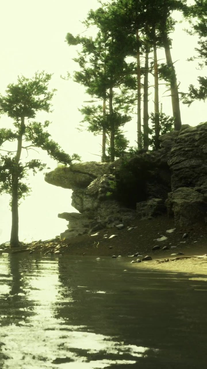 Alberi si ergono lungo la riva vicino all'acqua al tramonto, vicino a una scogliera rocciosa