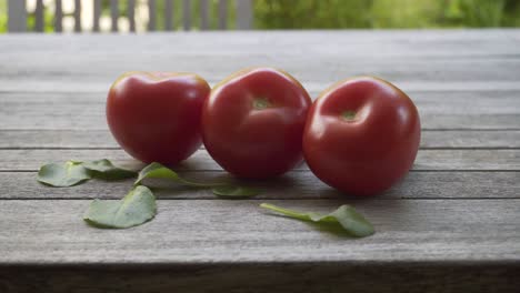 tomate orgánico fresco rojo, video uhd de 4k 2160p 25fps - panorámica lenta sobre un fondo de comida vegetal de tomate mojado 4k 3840x2160 material de archivo ultrahd