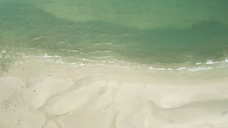 aerial birds eye view down shot of pristine tropical sand beach with ocean