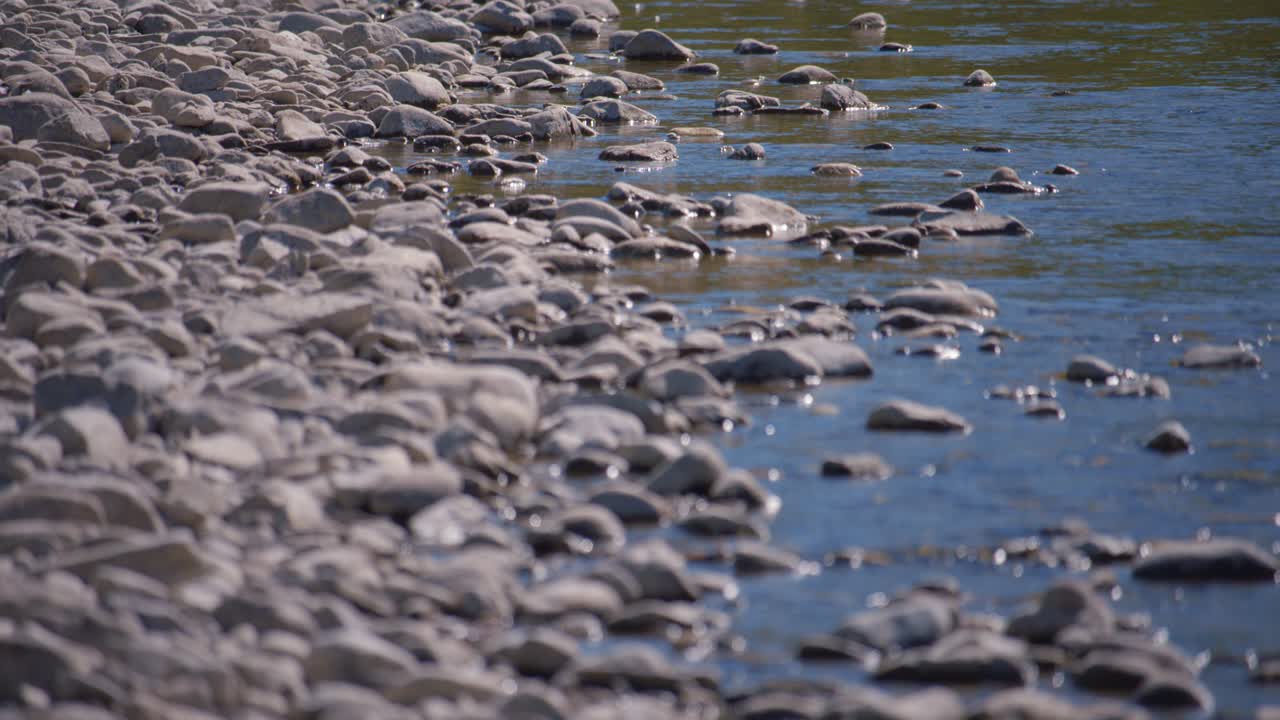 Pebbles by the river / Focus in back