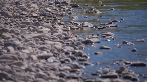 pebbles by the river / focus in back