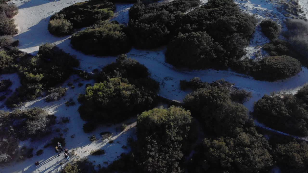 해안의 모래 언덕과 산책로의 공중 사진