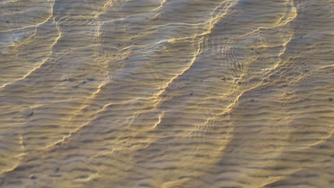 rippling shores of baltic sea polluted brown water