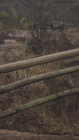 wooden fence in a foggy forest