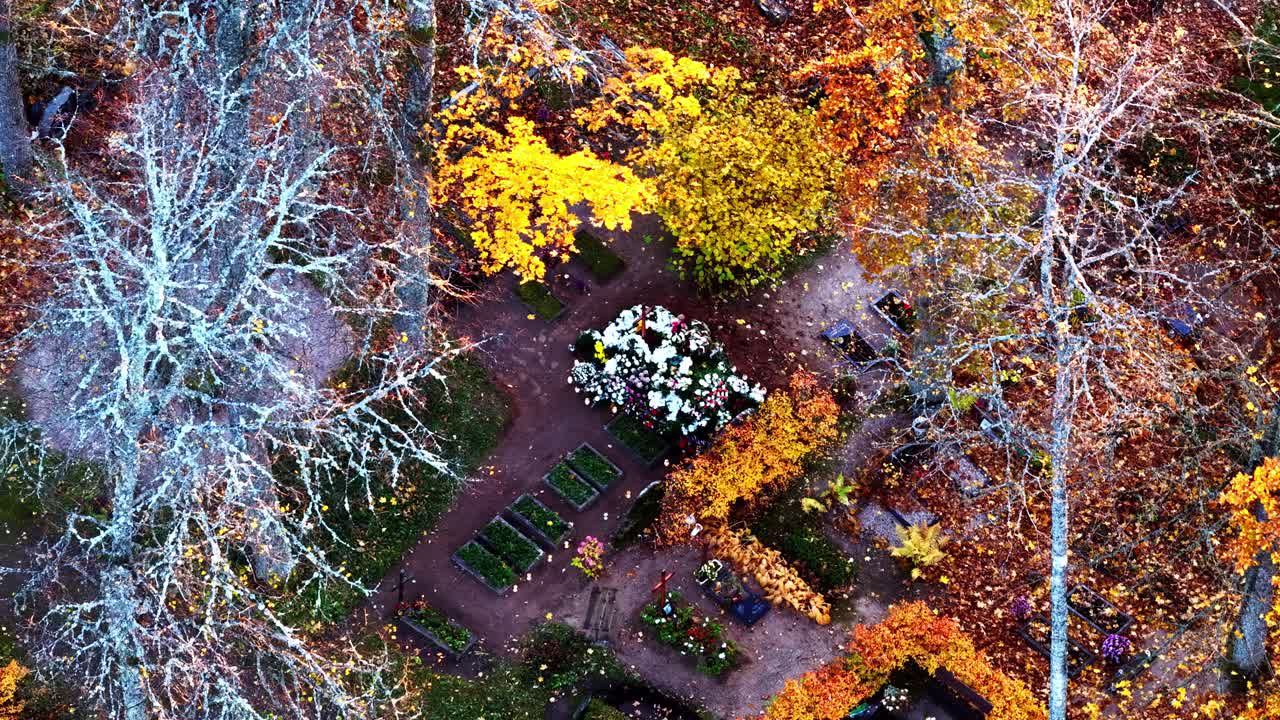 Top-down aerial of a cemetery surrounded by vibrant autumn foliage