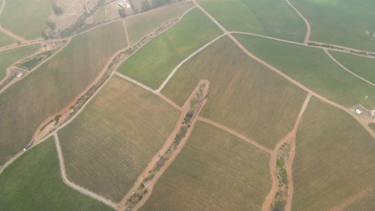 vista aérea de las secciones de un viñedo en un día de niebla en el valle de leyda, chile