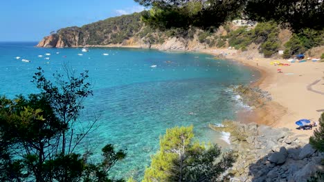 Costa-Brava-Wunderschöner-Jungfräulicher-Strand-Mit-Durchsichtigem-Türkisfarbenem-Wasser-üppige-Kiefern-Und-Felsen-Gelber-Sand-Wenige-Menschen-Gerona-Katalonien-Mittelmeer-Panoramische-Aussicht-Tossa-De-Mar-Bucht-Llevad?