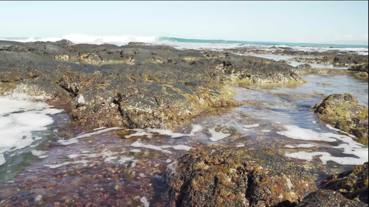 olas espumosas lamiendo en una formación de roca de lava cubiertas de musgo creando una piscina de marea