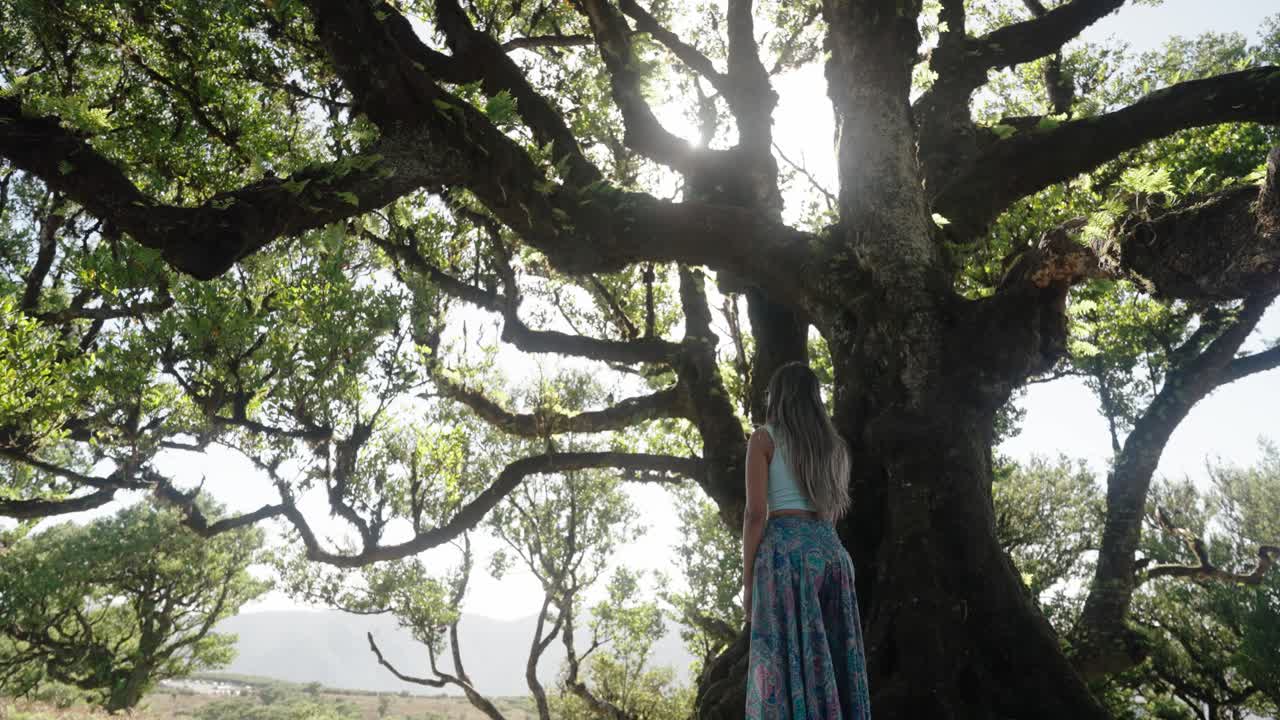 Woman gazes at ancient mossy tree under dappled light in Fanal Forest surrounded by green canopy and mountain views