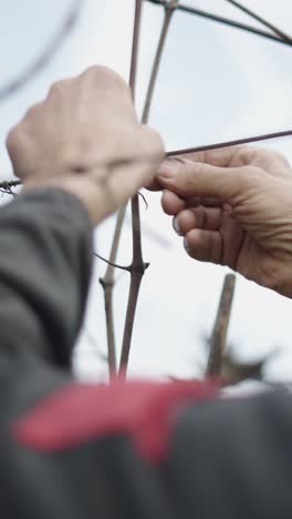 tying branches