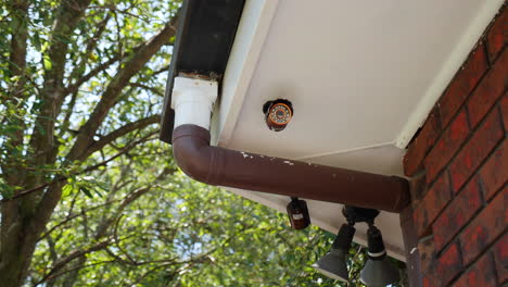 house security cctv camera pan