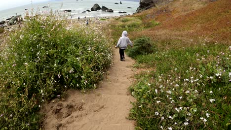 Lands-End-Ist-Ein-Malerischer-Wanderweg,-Der-Die-Küste-Von-San-Francisco,-Kalifornien,-Umarmt