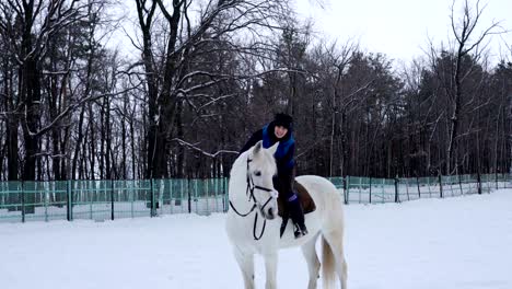 girl rides on horse in the paddock. jockey girl trains the the horse right movements. quiet winter cloudy day. a little snow falls.