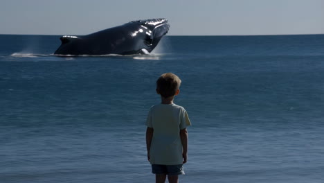 boy watching whale breach