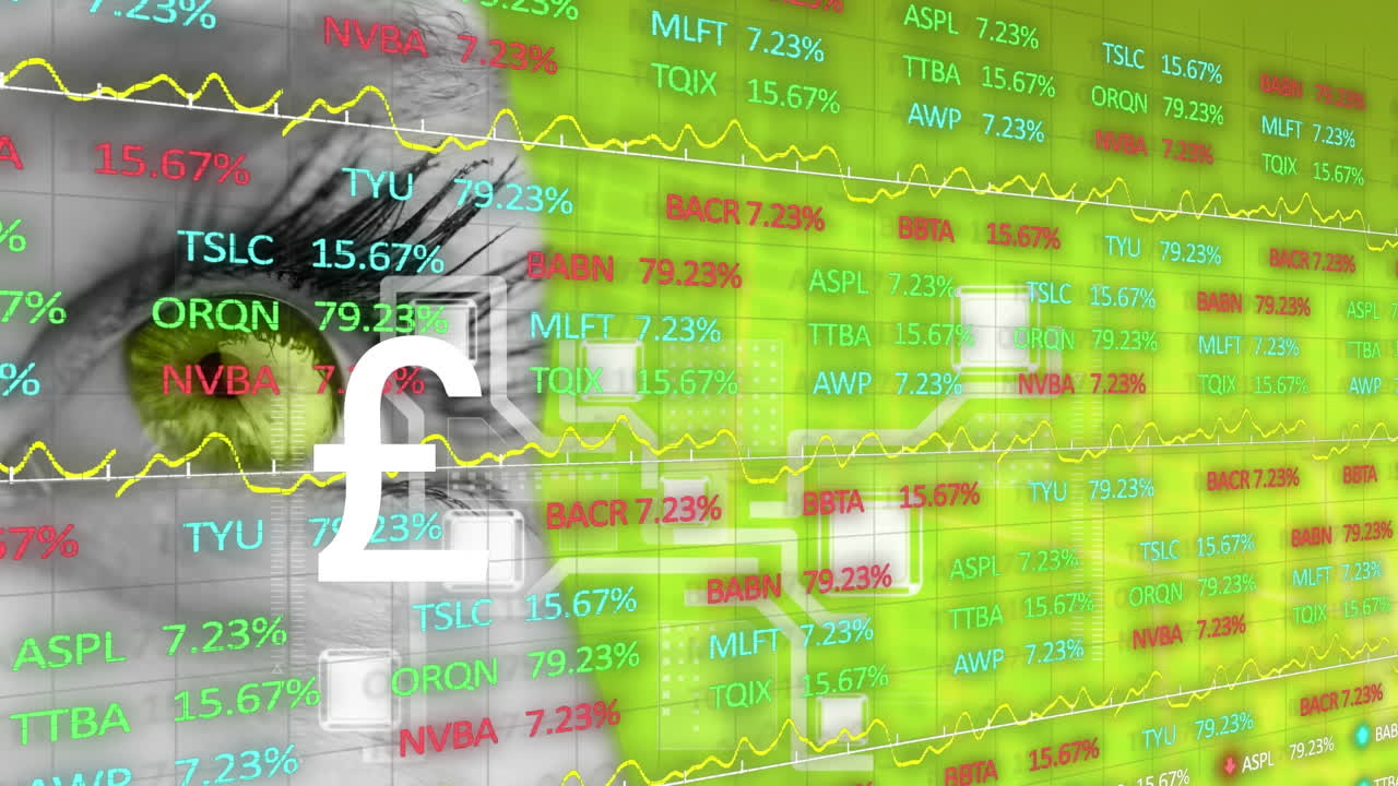 눈 위의 데이터 처리 애니메이션