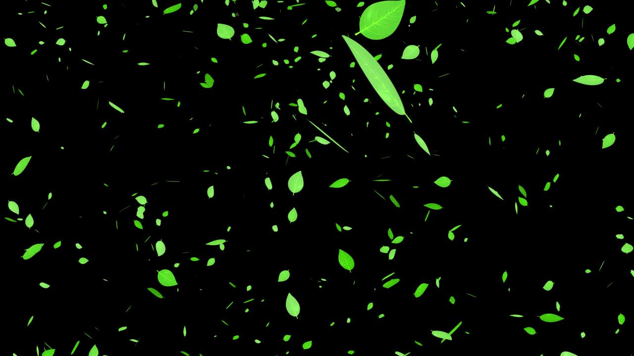녹색 잎, 신선한 녹색, 떨어지는 입자, 모션 그래픽
