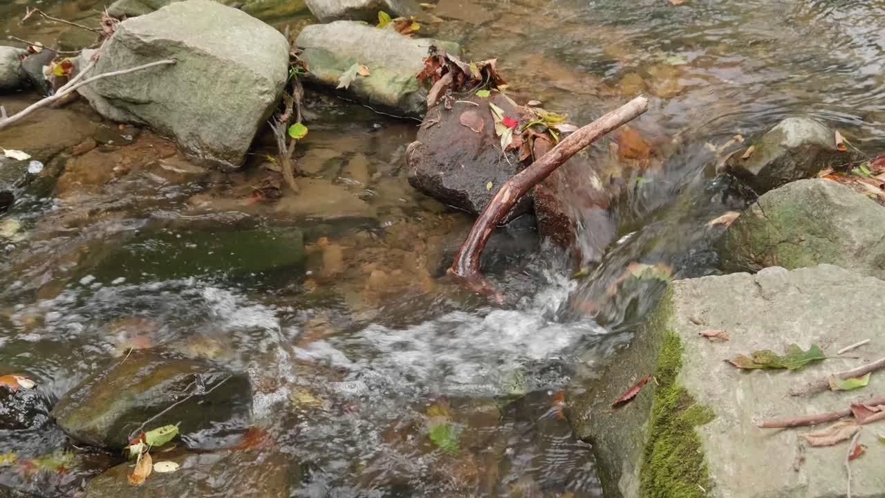 corrientes de agua sobre rocas y ramas, wissahickon creek