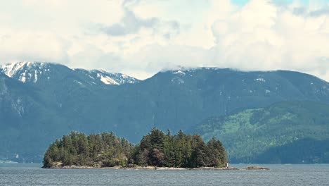 close up shot of gambier island in british columbia