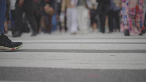 pedestrians crossing a city crosswalk